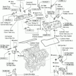 2005 Toyota Matrix Engine Diagram Wiring Diagram Schemas