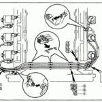 I Have 1999 Toyota 4 Runner 3 4 V6 I Need To Know In Which Order The