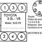 TOYOTA Orden De Encendido Firing Order Vehiculos 1987 91