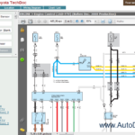 Toyota RAV4 Service Manual Petrol Models Repair Manual Order Download