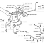 Toyota T100 Hose Fuel Vapor Engine 9532607019 Stevens Creek