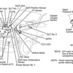 Toyotum Engine Diagram 3 0 Liter V6 1999 Complete Wiring Schemas