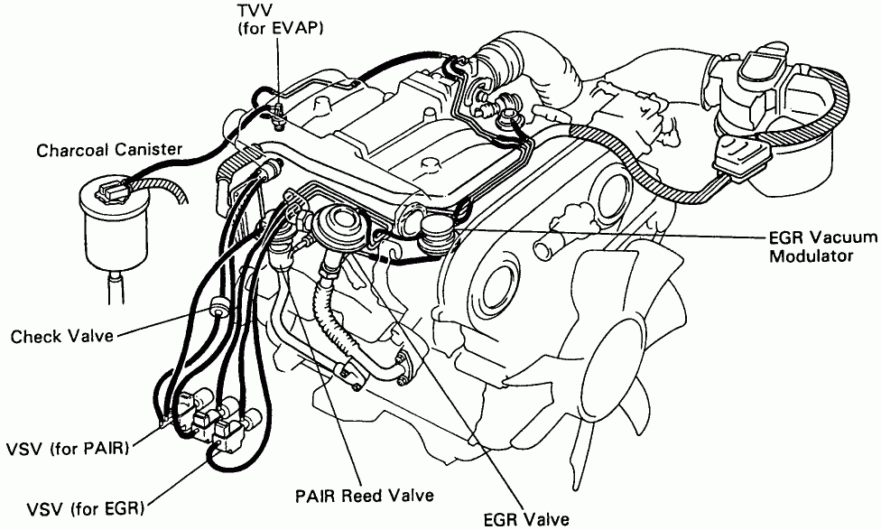 Toyotum Tacoma V6 Engine Diagram Complete Wiring Schemas