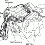 Toyotum Tacoma V6 Engine Diagram Complete Wiring Schemas